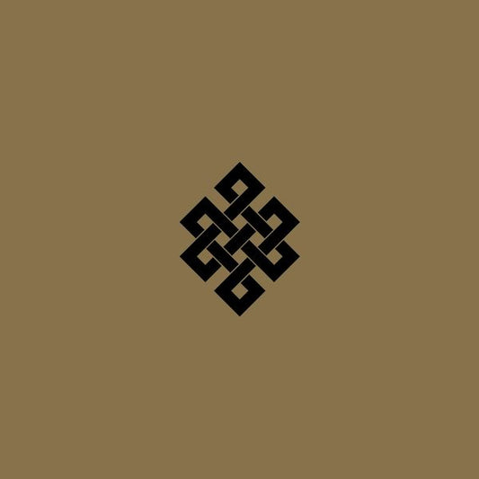 Throbbing Gristle - Live At The Volksbuhne Berlin New Year's Eve 2005 [2LP]