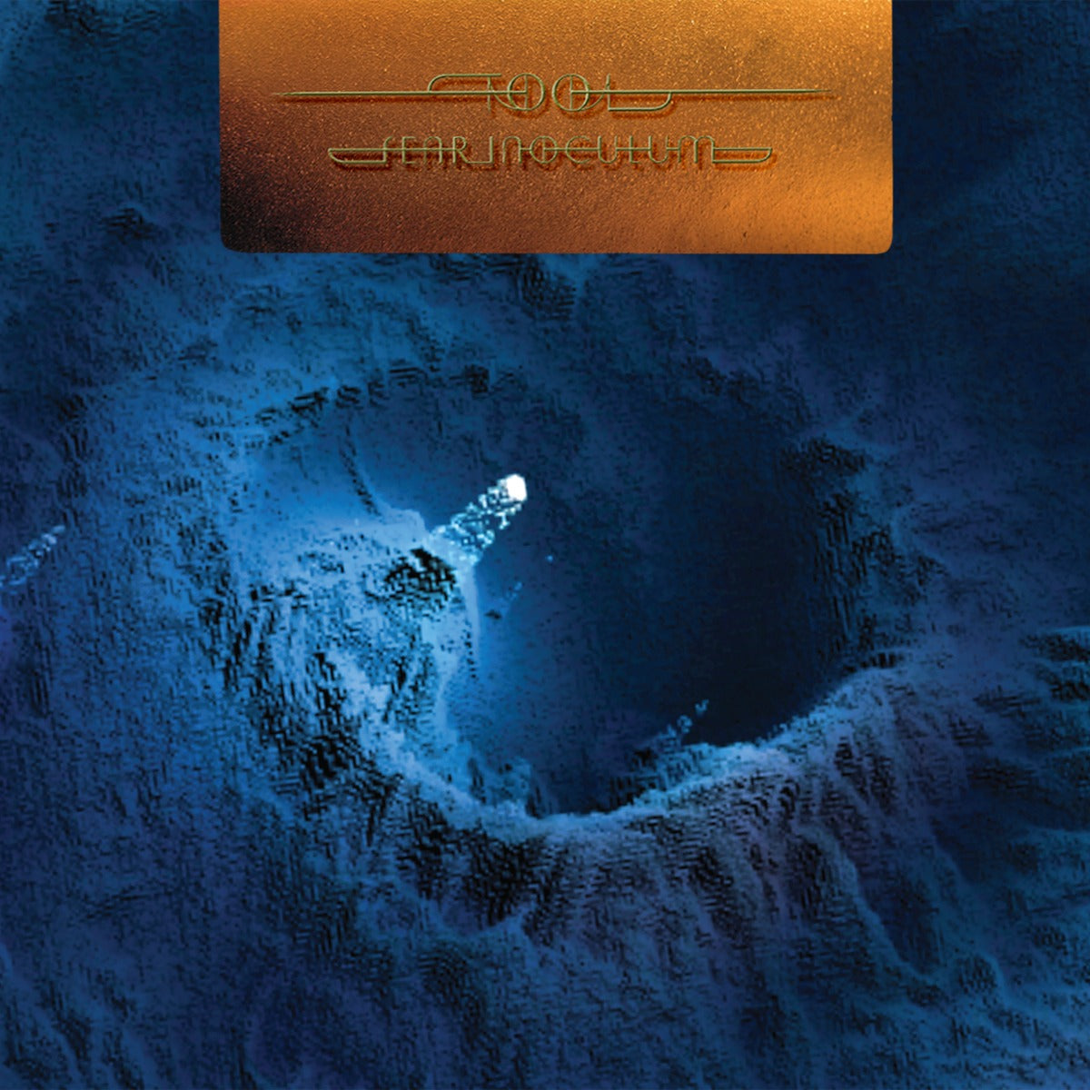 Fear Inoculum (Deluxe Limited Edition 5LP Set) (Vinyl)