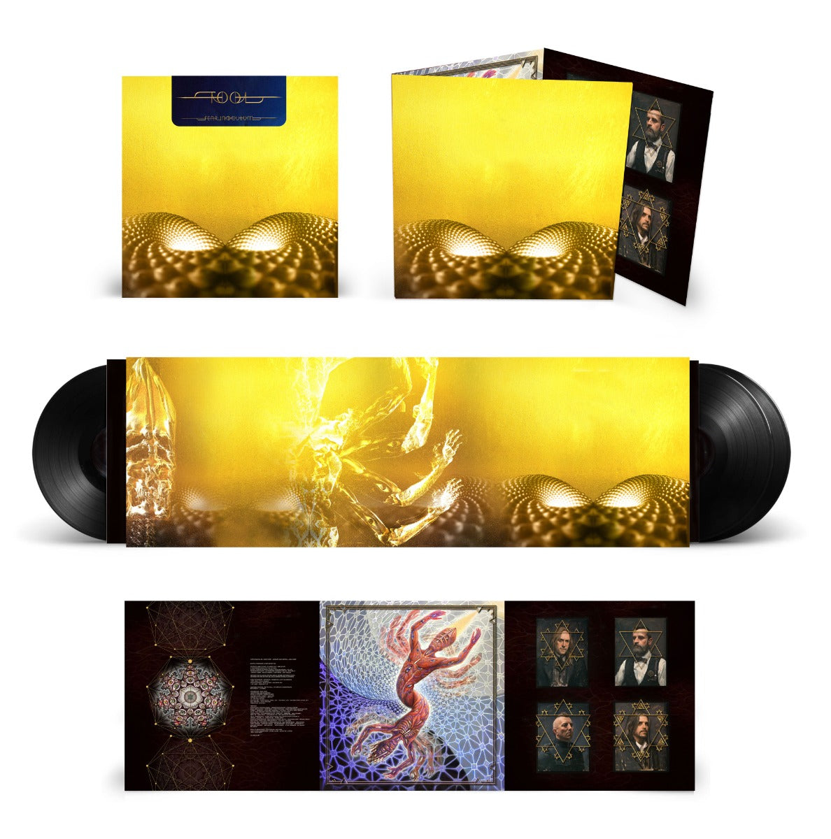 Tool Fear Inoculum [Vinyl]
