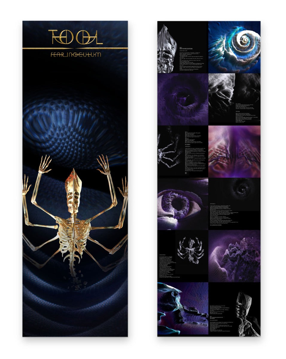 Tool Fear Inoculum [Vinyl]