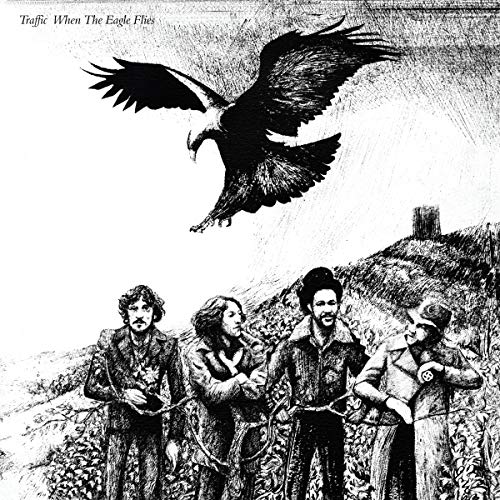 When The Eagle Flies [LP] (Vinyl)