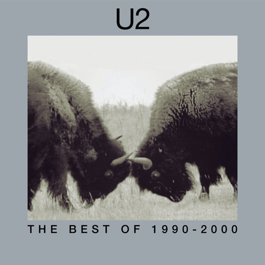 U2 The Best Of 1990-2000 [2 LP] [Vinyl]