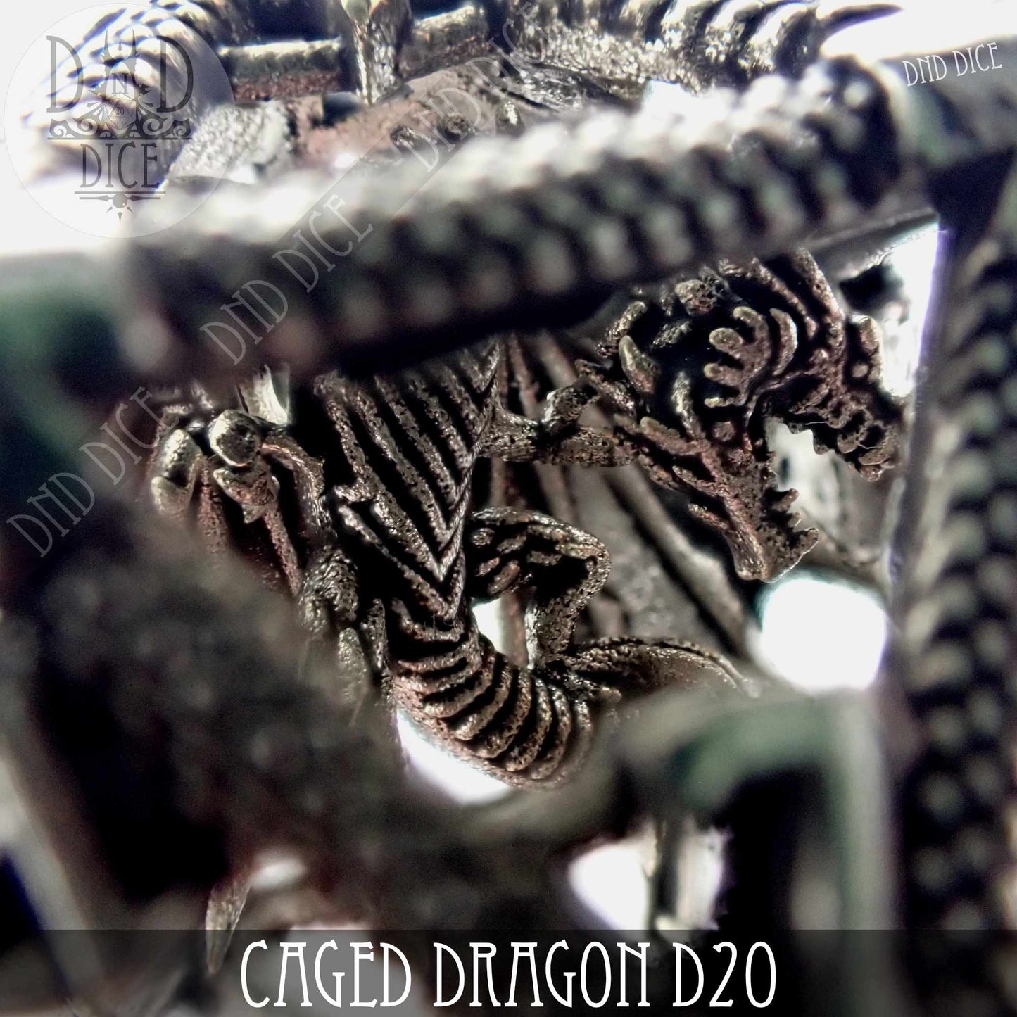 Caged Dragon D20 (6 Colors)