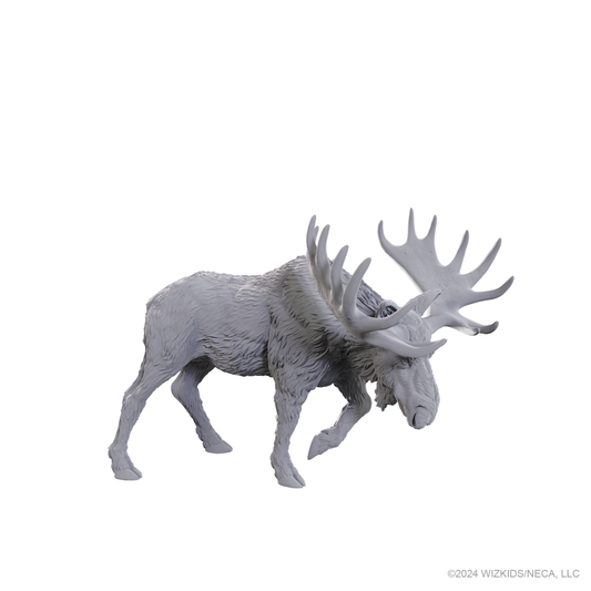 Deep Cuts: Bull Moose