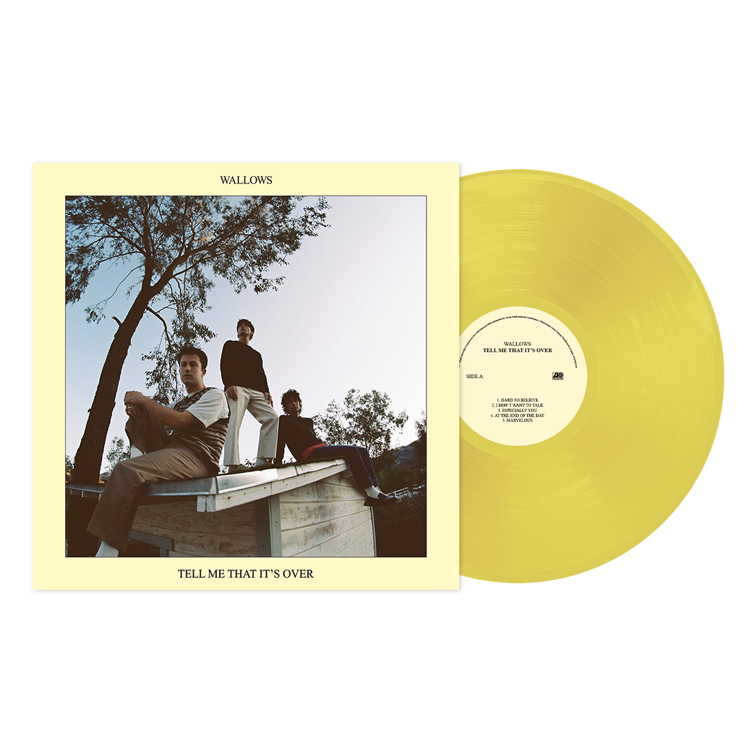 Wallows Tell Me That It's Over [Vinyl]