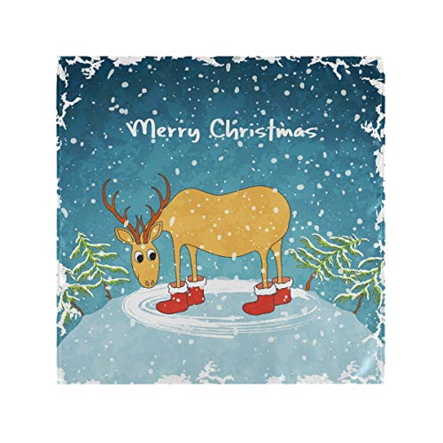 At The Cat's Cradle, 1992 [Milky Clear 2 LP] (Vinyl)