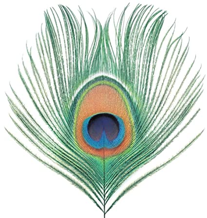 Apple Venus Vol. 1 (200 Gram Vinyl) [Import] (Vinyl)