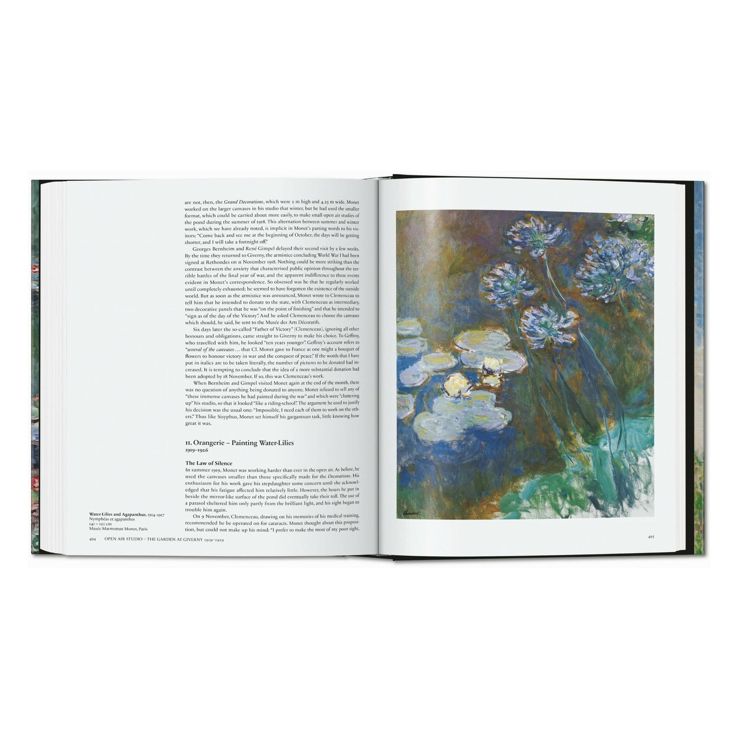 Monet. The Triumph of Impressionism (English)