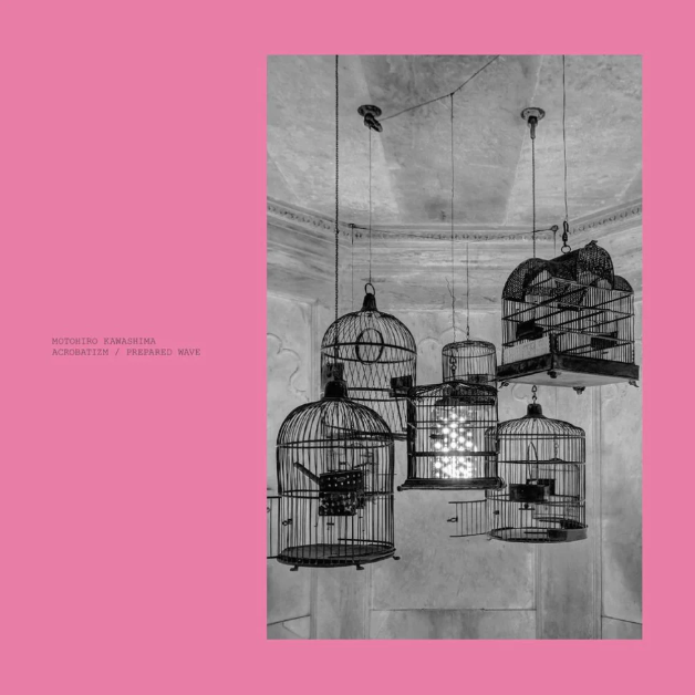Acrobatizm / Prepared Wave (2LP Pink) (Vinyl)