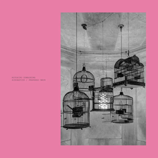 Acrobatizm / Prepared Wave (2LP Pink) (Vinyl)