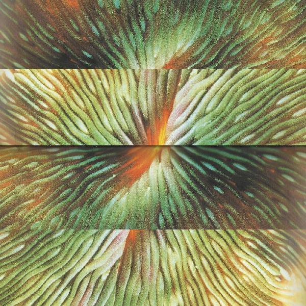 Mirroring (Vinyl)