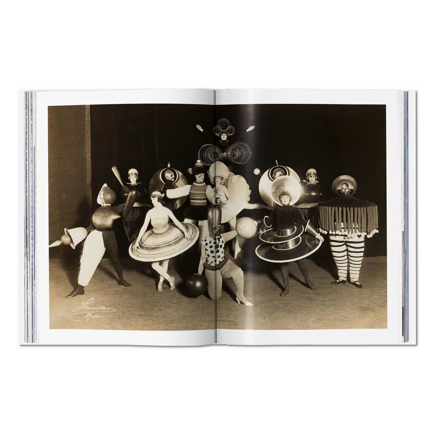 Bauhaus. Updated Edition (English)
