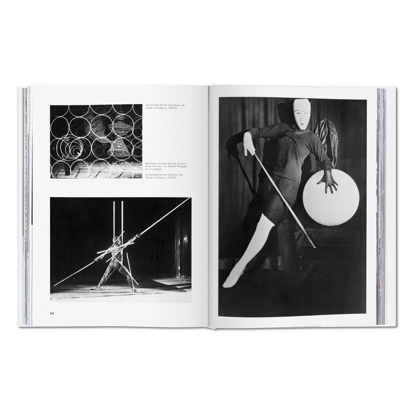 Bauhaus. Updated Edition (English)