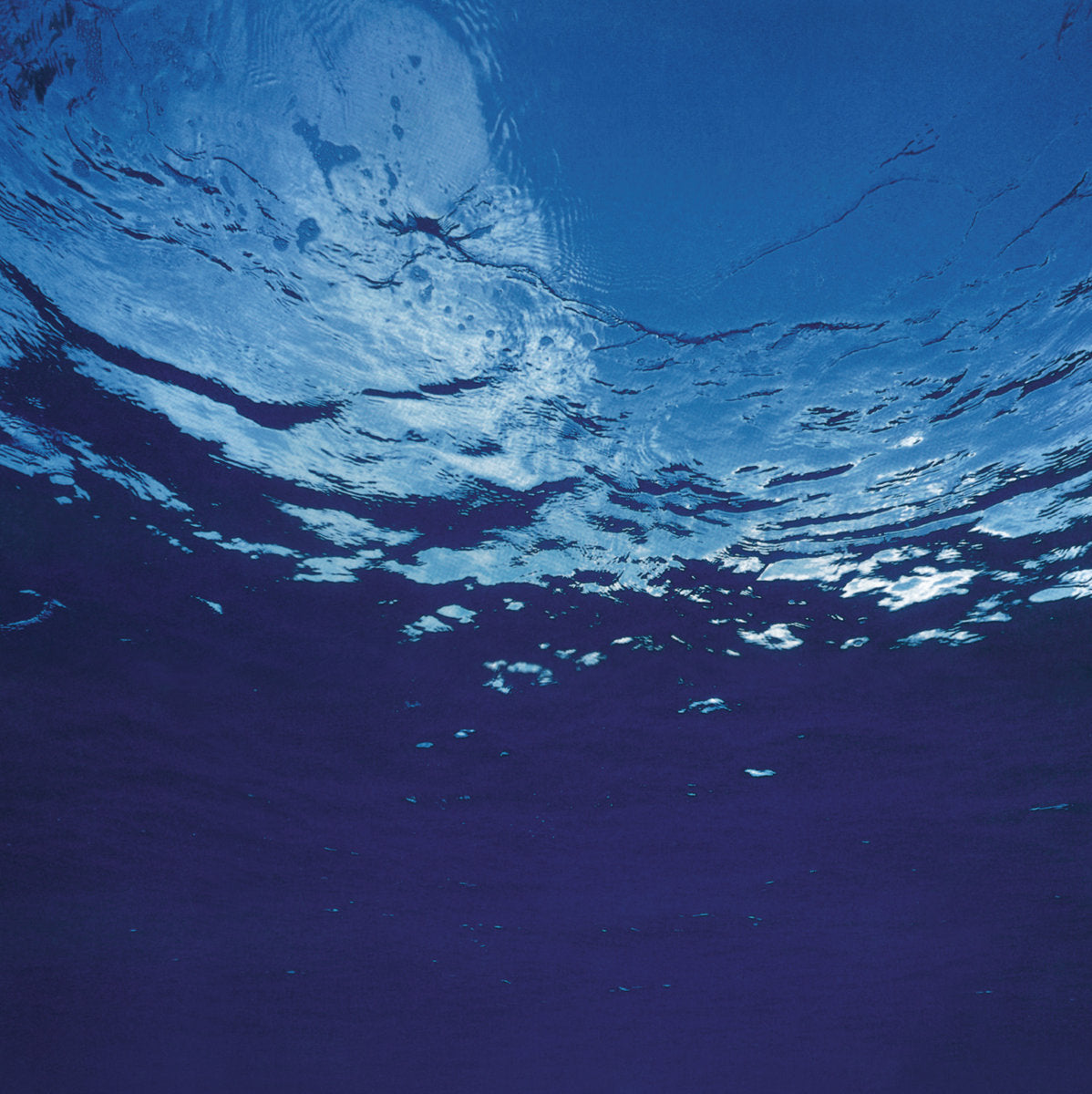 Marine Flowers (Vinyl)