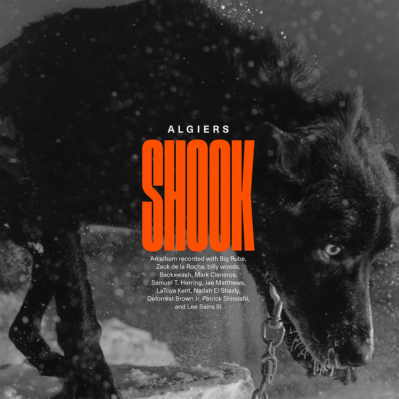 Shook (Vinyl)
