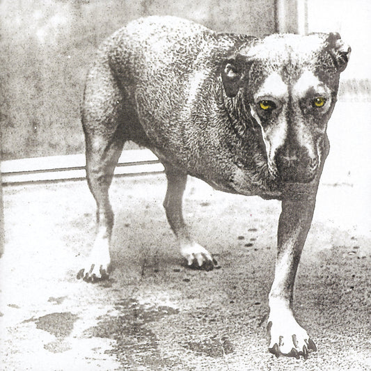 Alice In Chains (30Th Anniversary Reissue) [Color Vinyl] [2LP] [Vinyl]