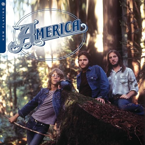America Now Playing [Vinyl]