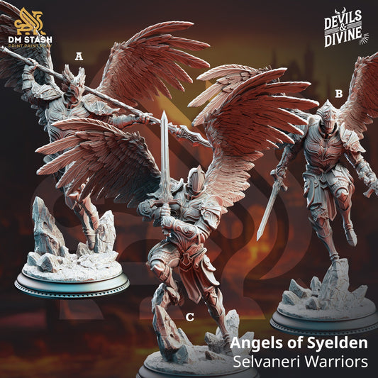 Angels of Syelden, Selvaneri Warriors