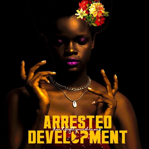 Arrested Development Don't Fight Your Demons (2 Lp's) [Vinyl]