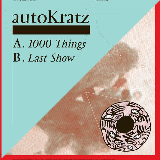 1000 Things (Vinyl)