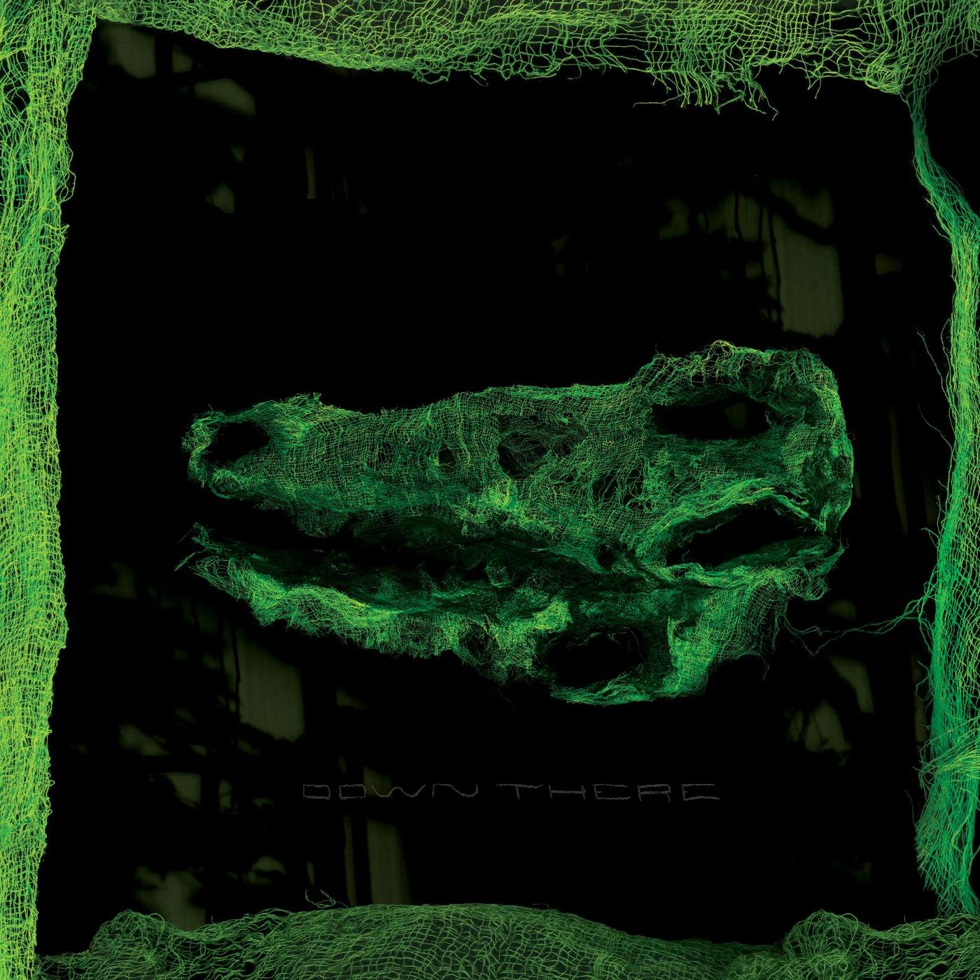 Down There (Vinyl)