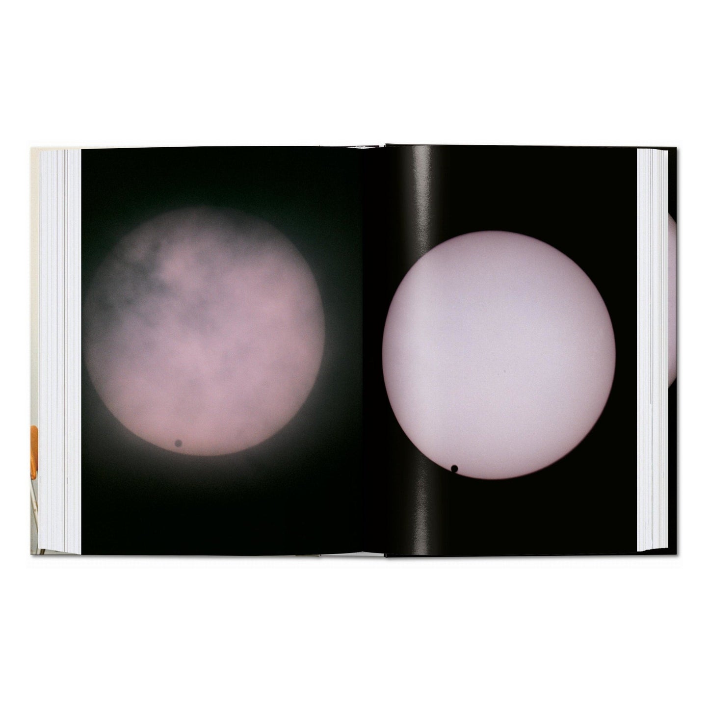 Wolfgang Tillmans. four books. 45th Ed. (English)