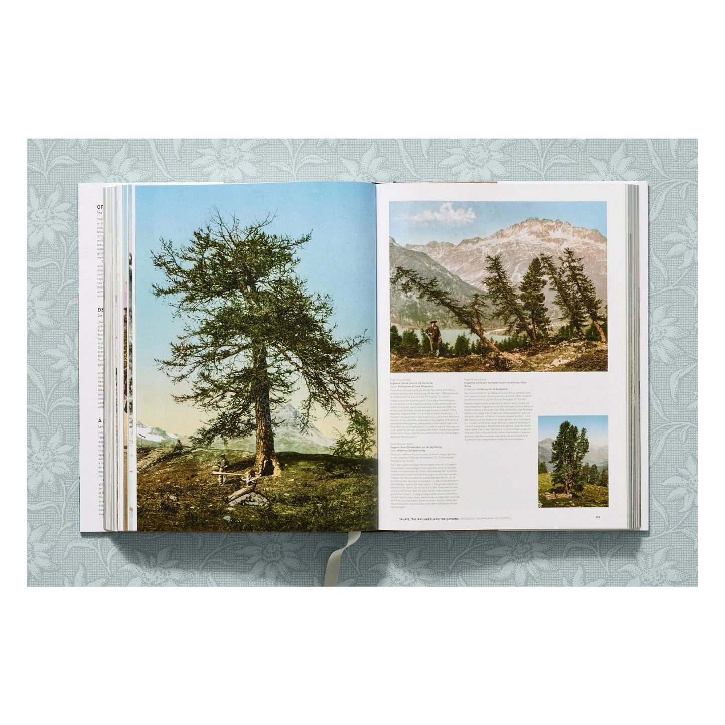 The Alps 1900. A Portrait in Color (German, French, English)