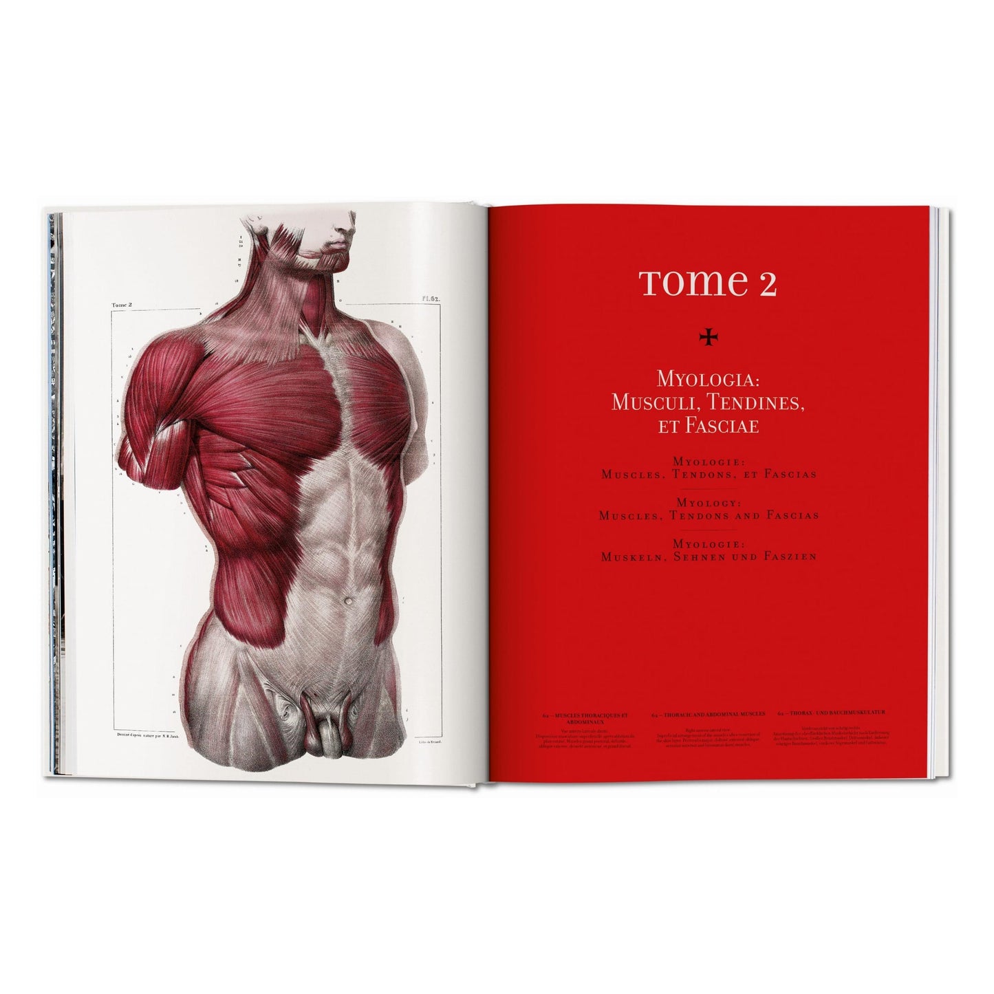 Bourgery. Atlas of Human Anatomy and Surgery (German, French, English)
