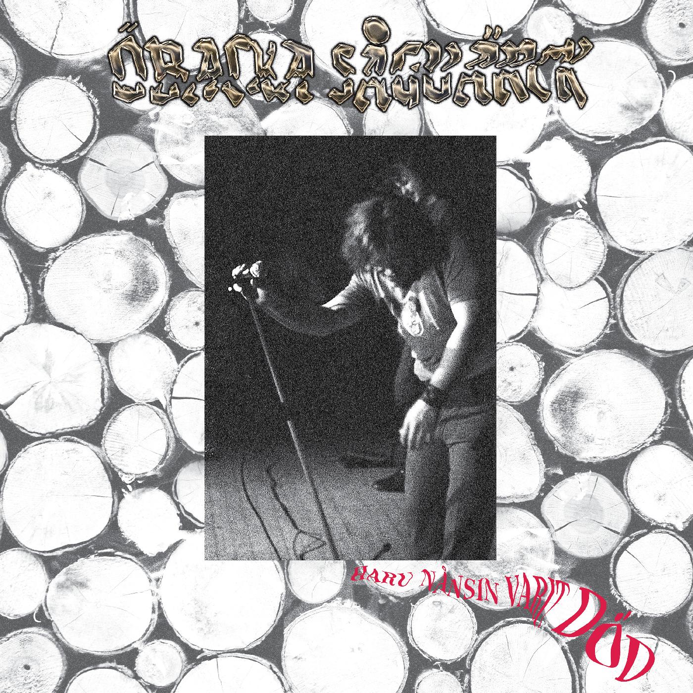 Haru Nånsin Varit Död (Vinyl) - Golden Apple Comics