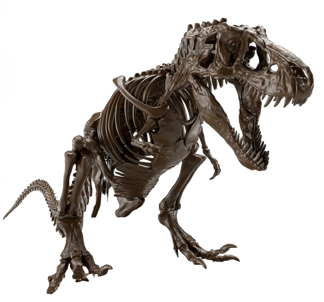 Bandai 2569327 Imaginary Skeleton: Tyrannosaurus Dinosaur Model Kit