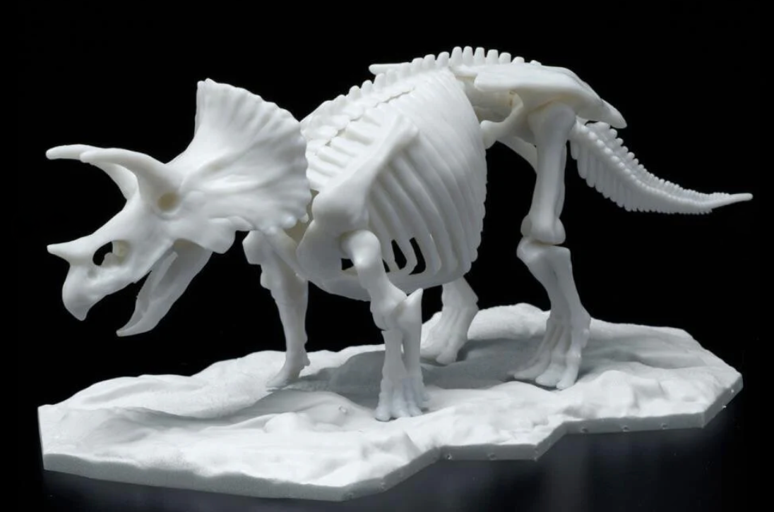 Bandai 2569527 Limex Skeleton: Triceratops Dinosaur Model Kit