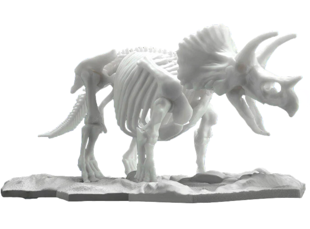 Bandai 2569527 Limex Skeleton: Triceratops Dinosaur Model Kit