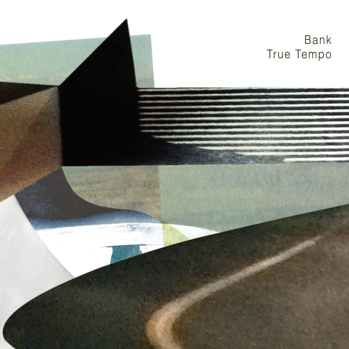 True Tempo (Vinyl)