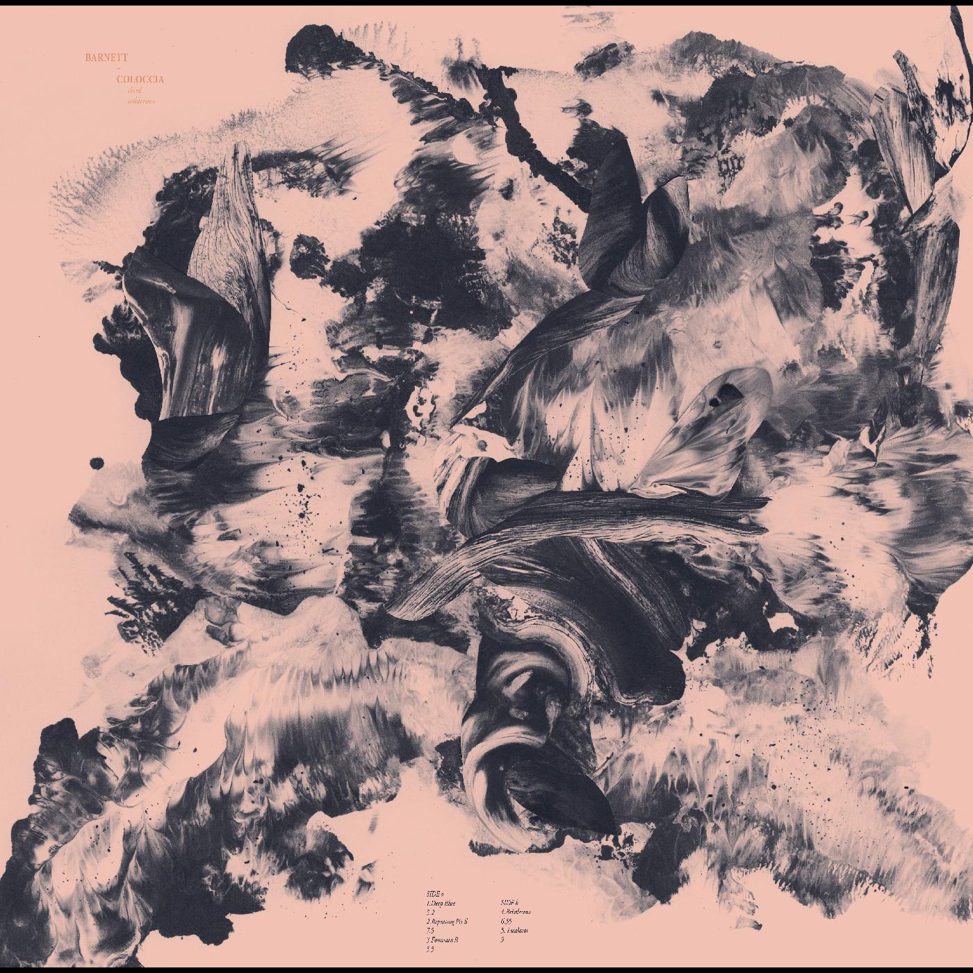 Third Wilderness (TAN & BLUE/GREY VINYL) (Vinyl)