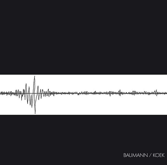 Baumann/Koek (Vinyl)