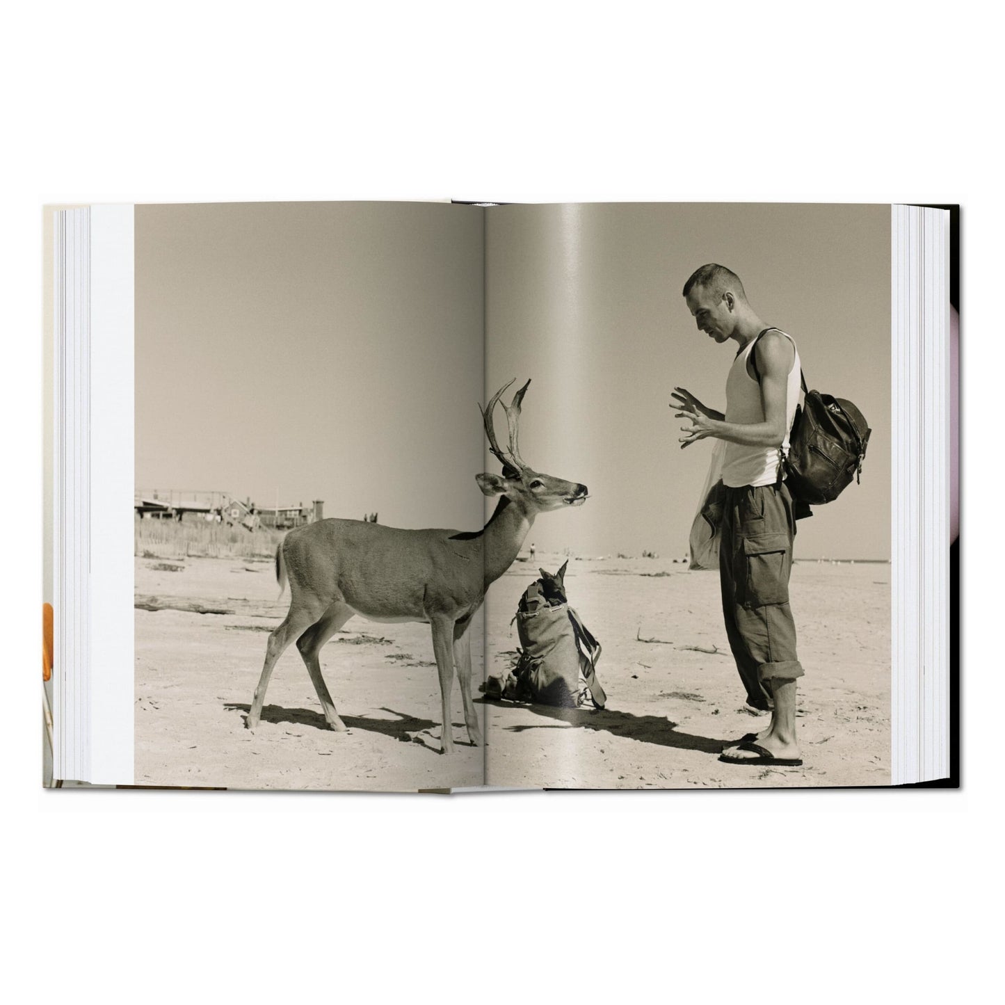 Wolfgang Tillmans. four books. 45th Ed. (English)