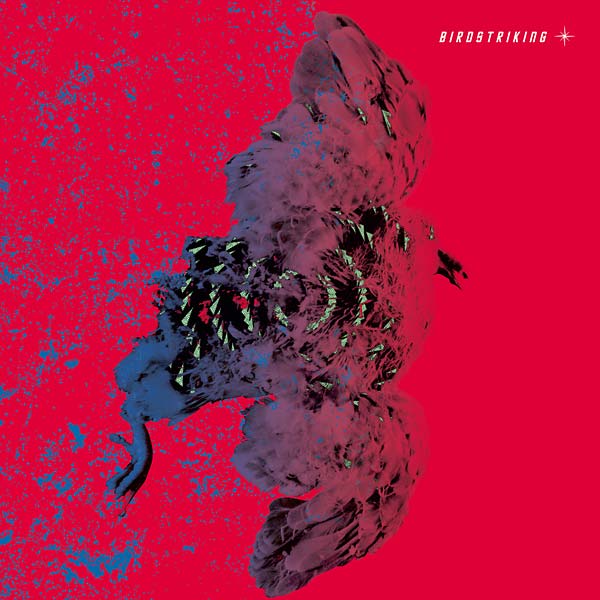 Birdstriking (Vinyl)