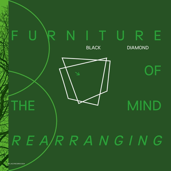Furniture Of Mind Rearranging (Vinyl)