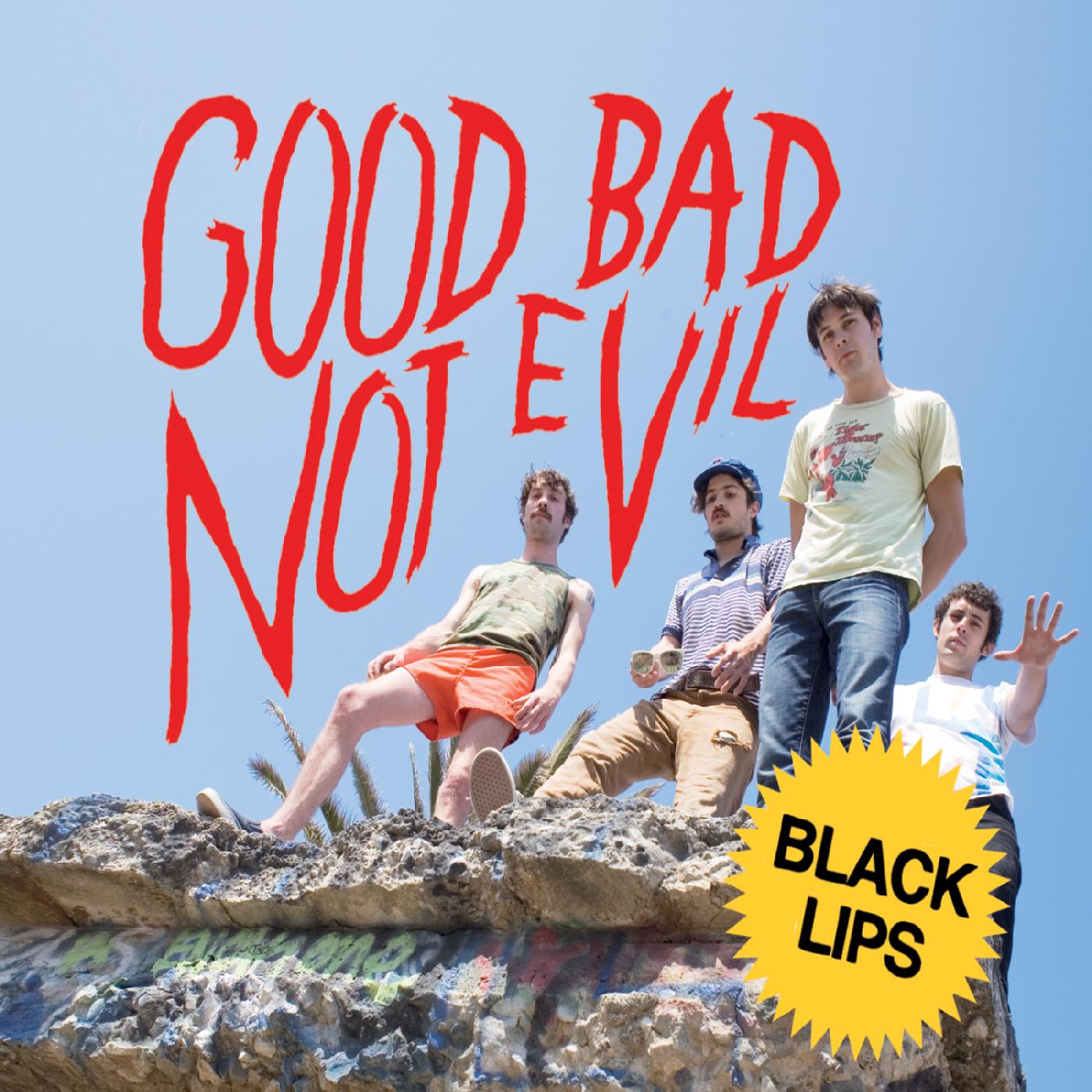 Good Bad Not Evil (DELUXE EDITION) (Vinyl) - Golden Apple Comics