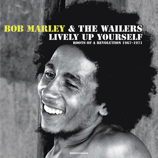 Lively Up Yourself: Roots Of A Revolution (1967-1971) (CD)