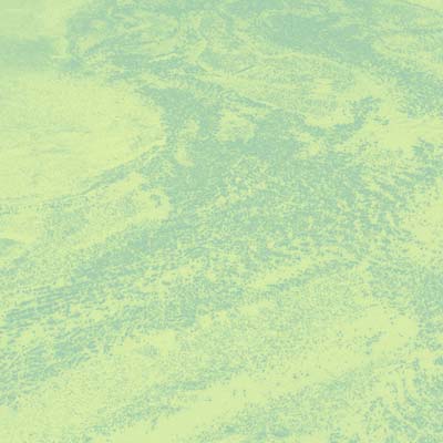 Seed (Vinyl)