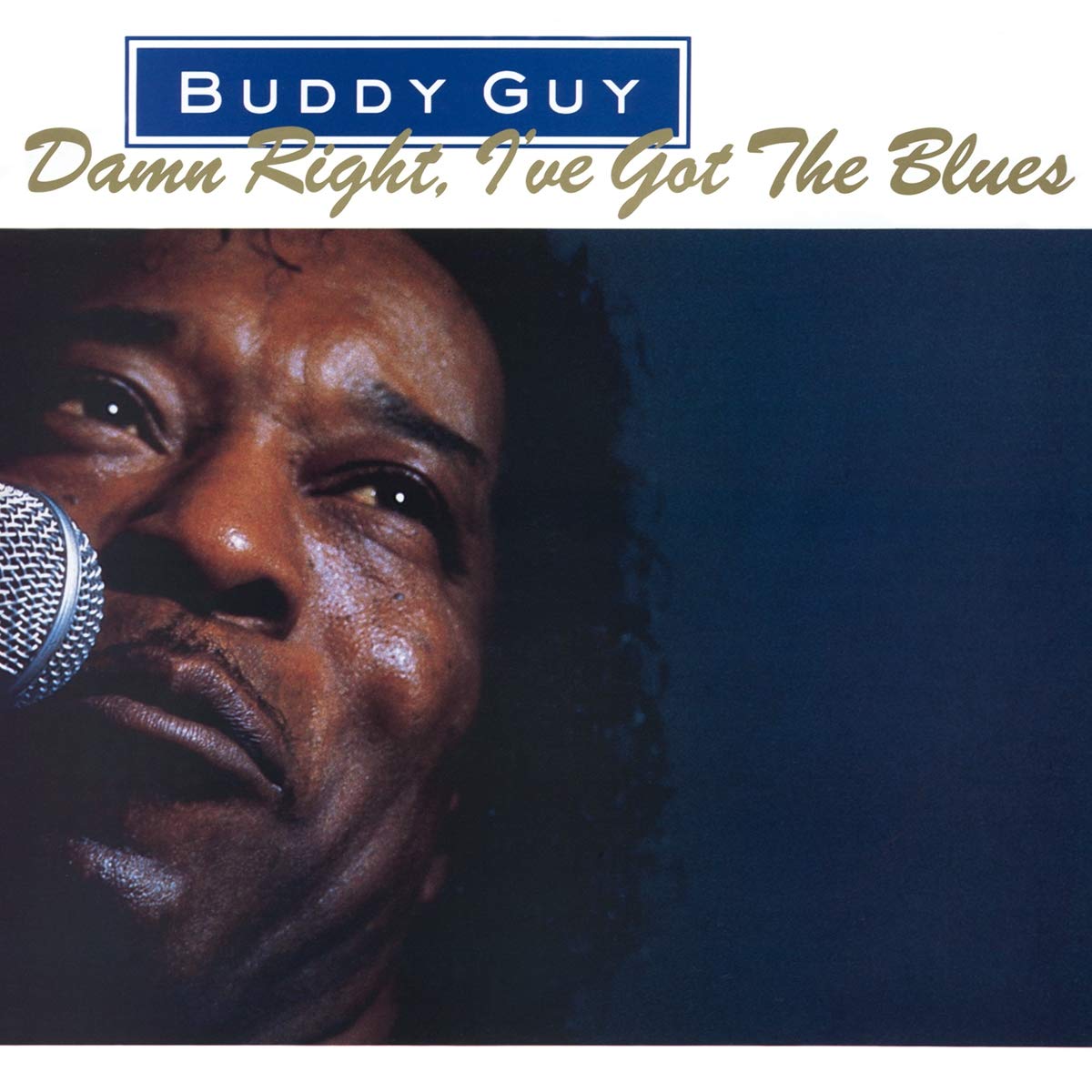 Buddy Guy Damn Right, I've Got The Blues (180 Gram Vinyl) [Import] [Vinyl]