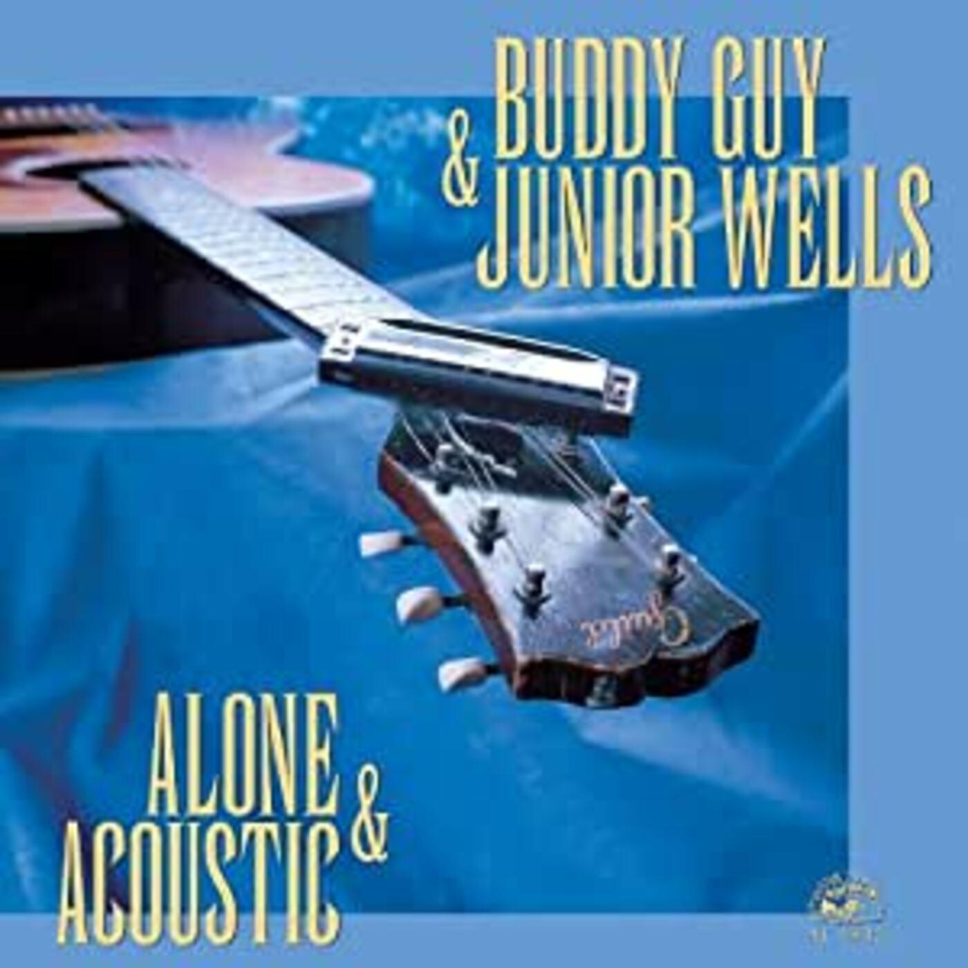 Alone & Acoustic (Vinyl)