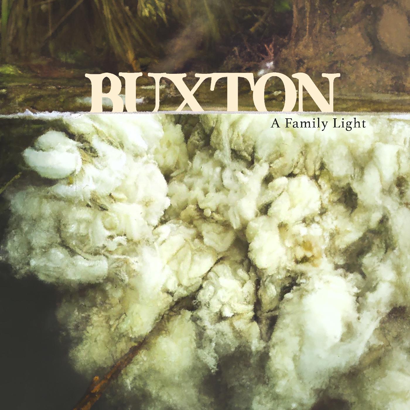 A Family Light (CD)