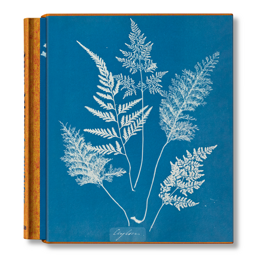 Anna Atkins. Cyanotypes (German, French, English) (FFE)