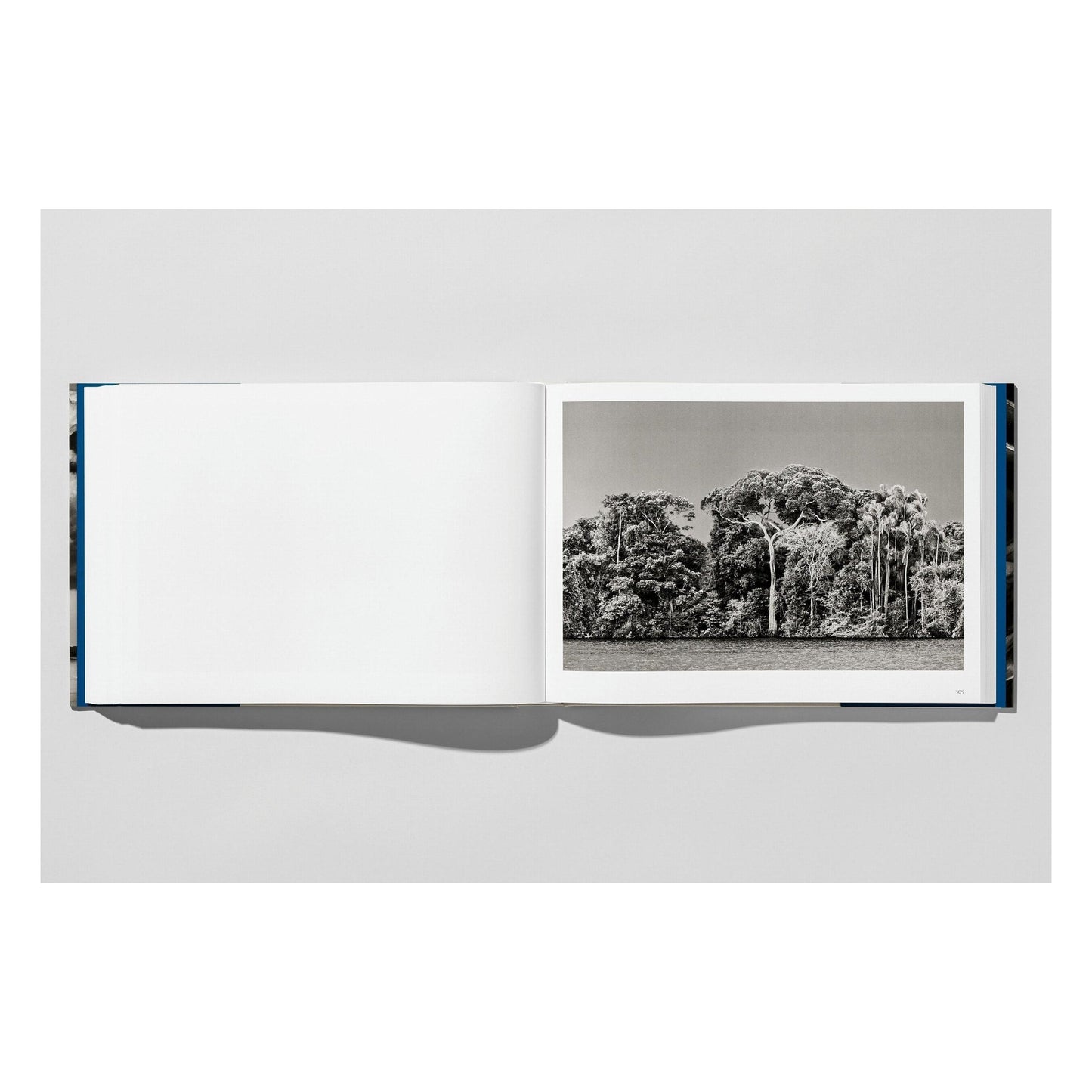 Sebastião Salgado. Amazônia (English)