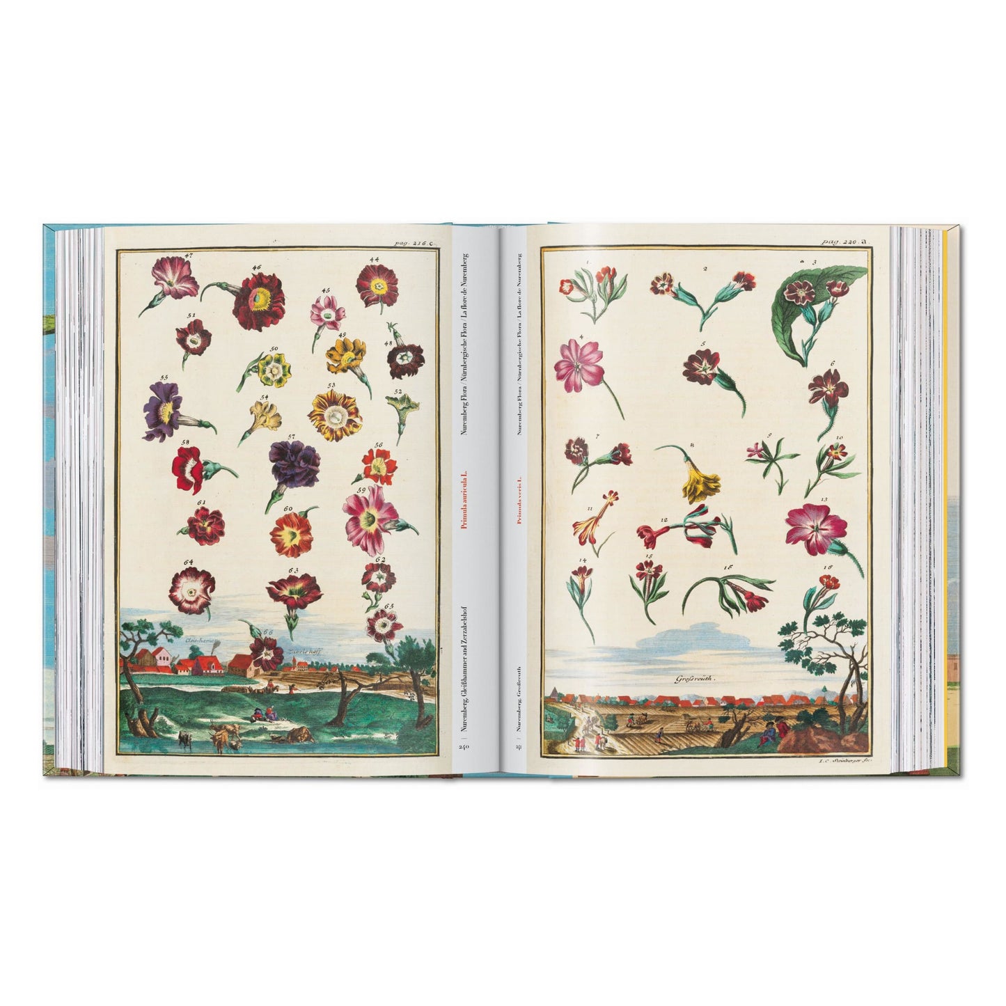 J. C. Volkamer. The Book of Citrus Fruits. 45th Ed. (German, French, English)