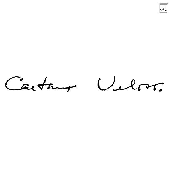 Caetano Veloso (Irene) (Clear Vinyl) (Vinyl)