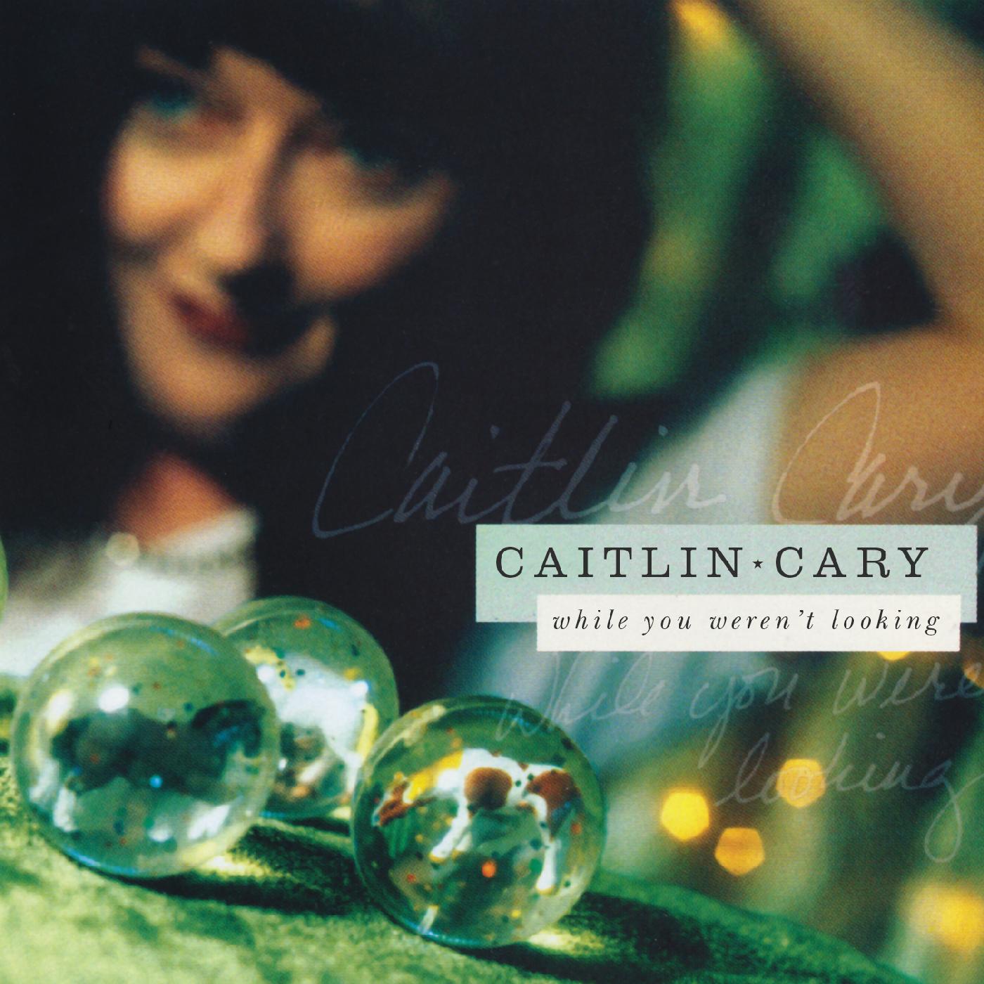 While You Weren't Looking (20th Anniversary Edition) (Vinyl)