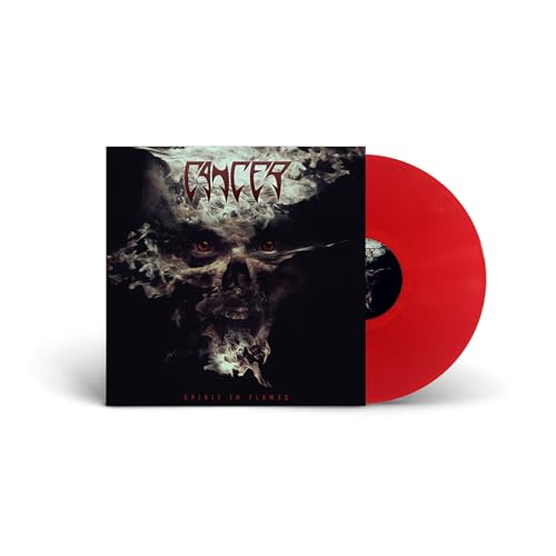 Spirit In Flames (Red Vinyl) (Vinyl)